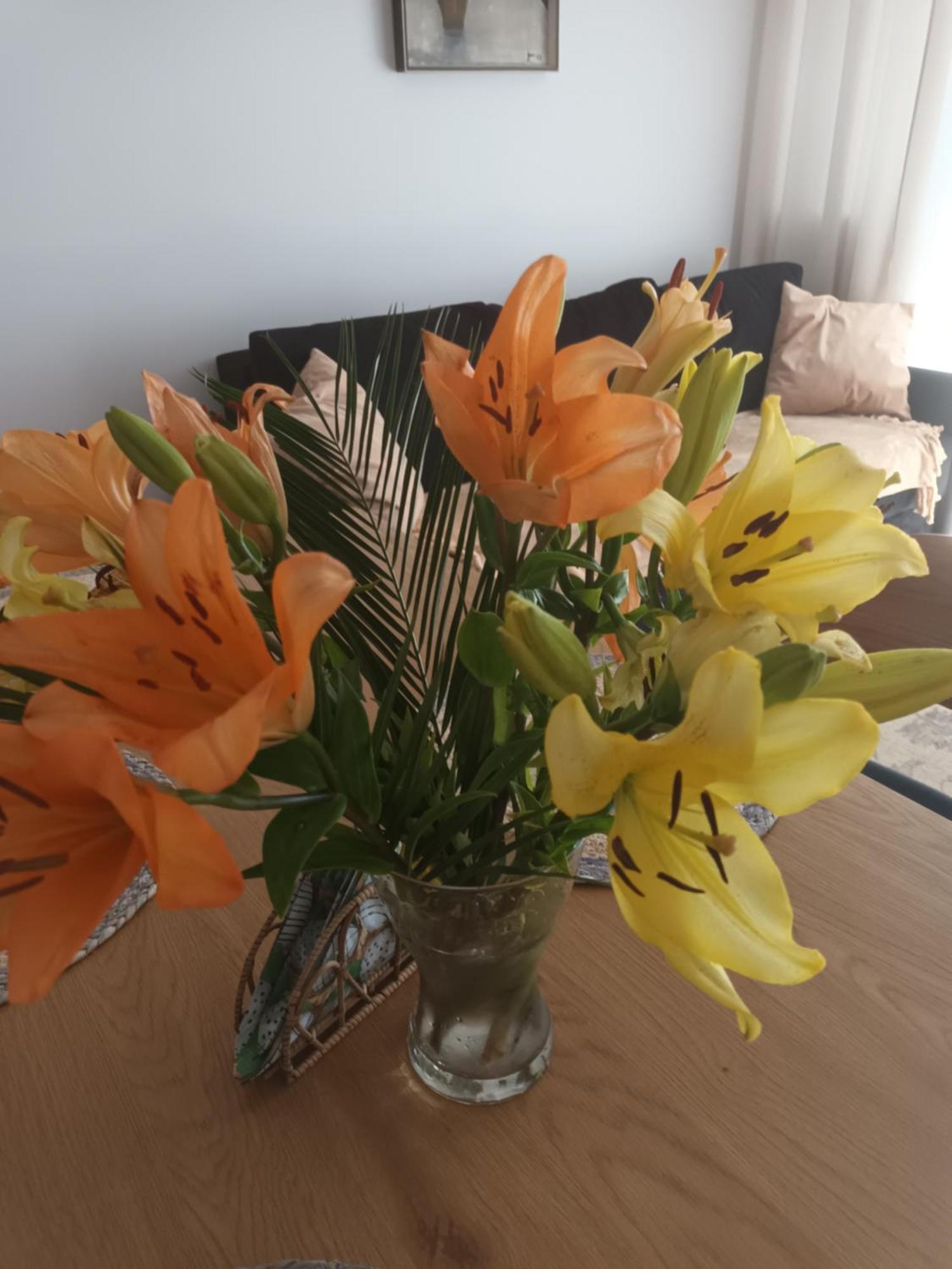 Apartament Lilla 2 Jelenia Góra Esterno foto